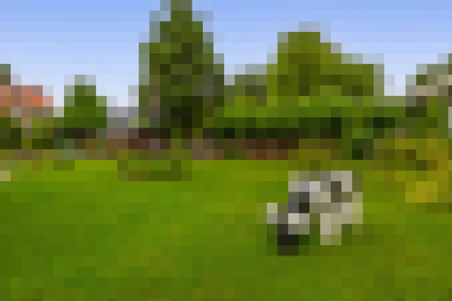 's-Gravenweg 70 Capelle aan den IJssel thumbnail 50