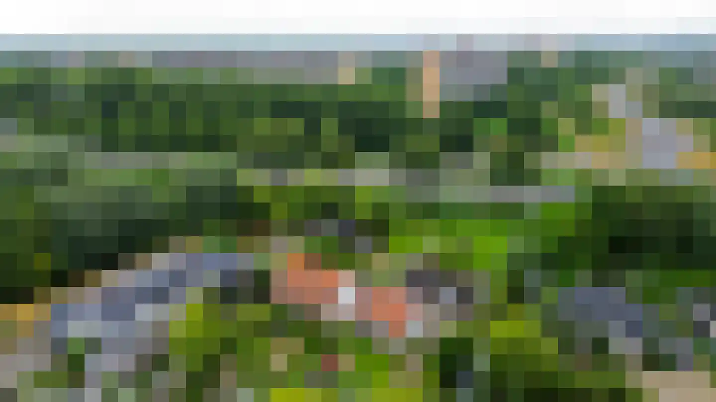 's-Gravenweg 70 Capelle aan den IJssel thumbnail 61