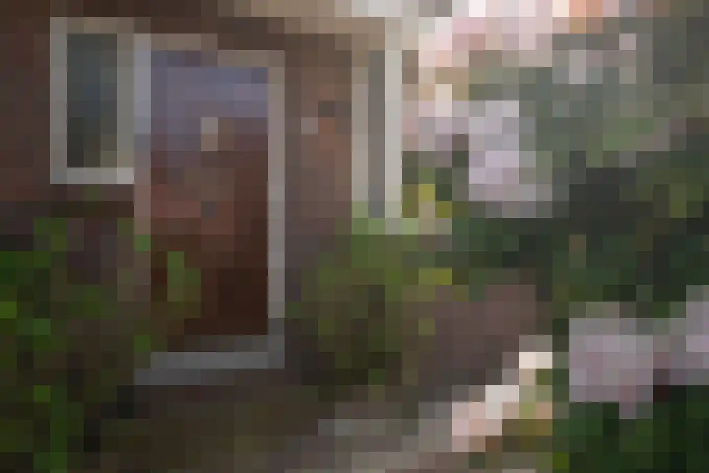 's-Gravenweg 72 Capelle aan den IJssel thumbnail 13