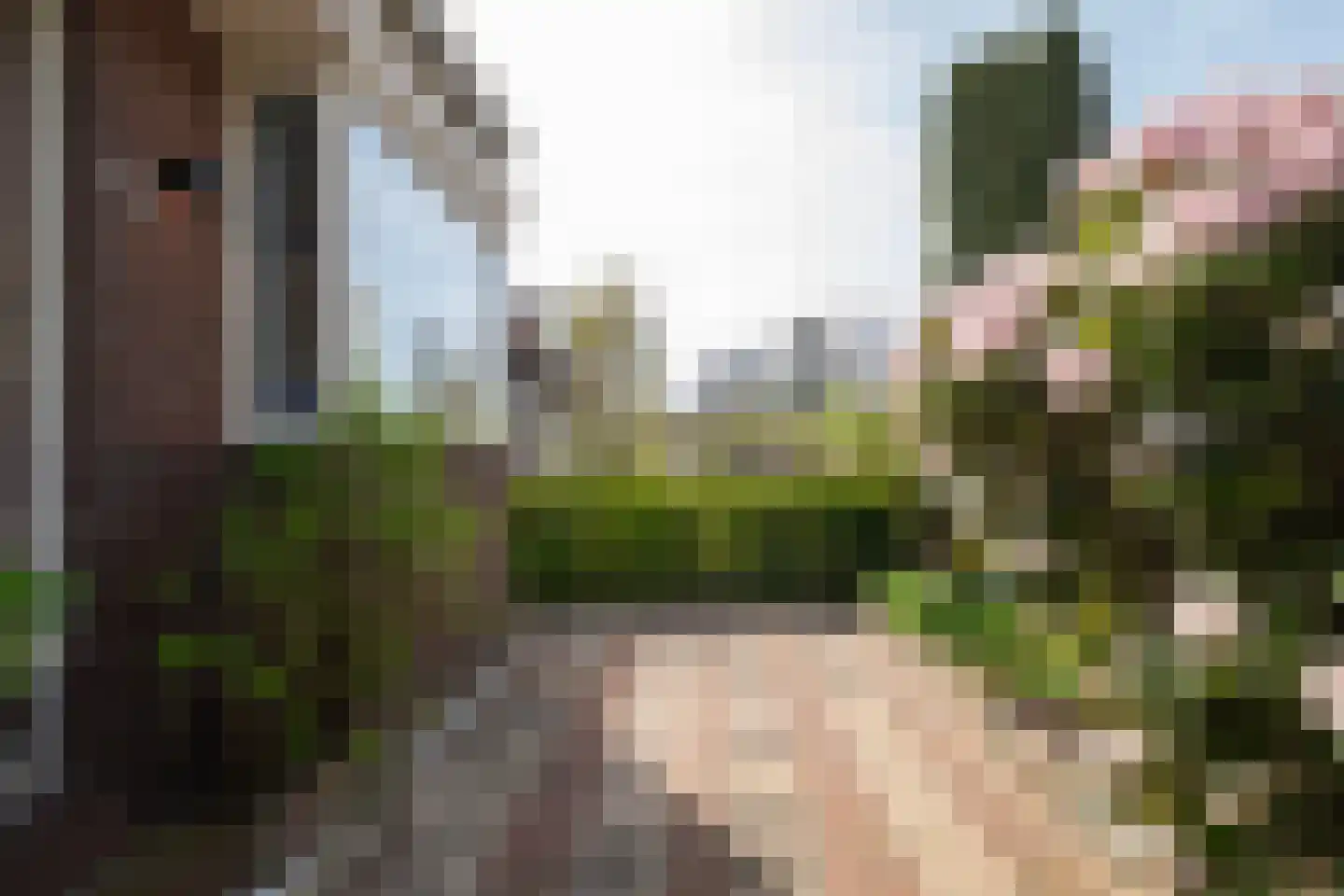 's-Gravenweg 72 Capelle aan den IJssel thumbnail 14