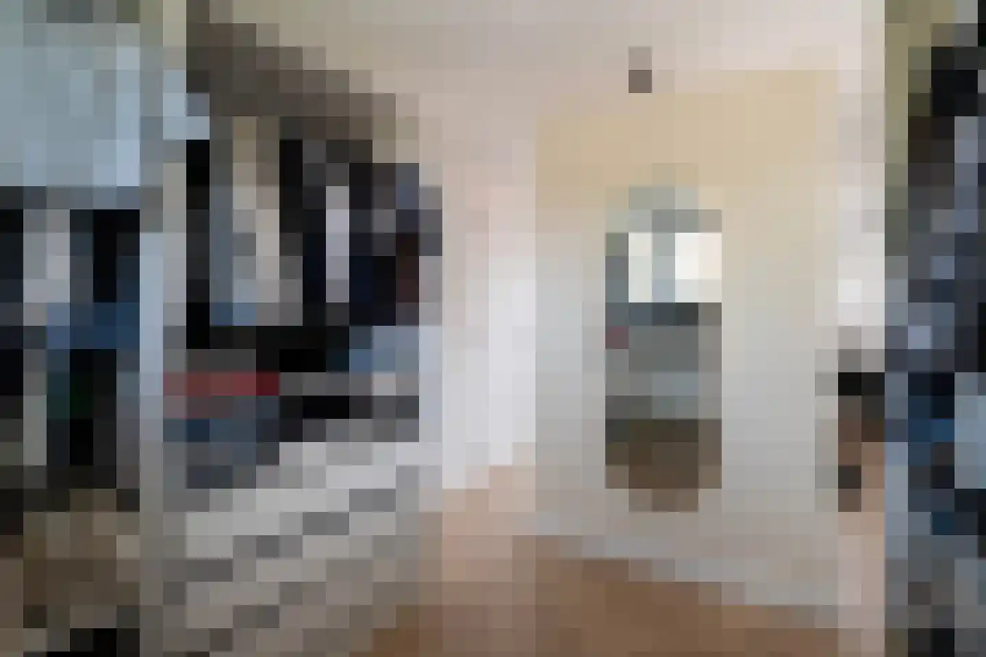 's-Gravenweg 72 Capelle aan den IJssel thumbnail 38