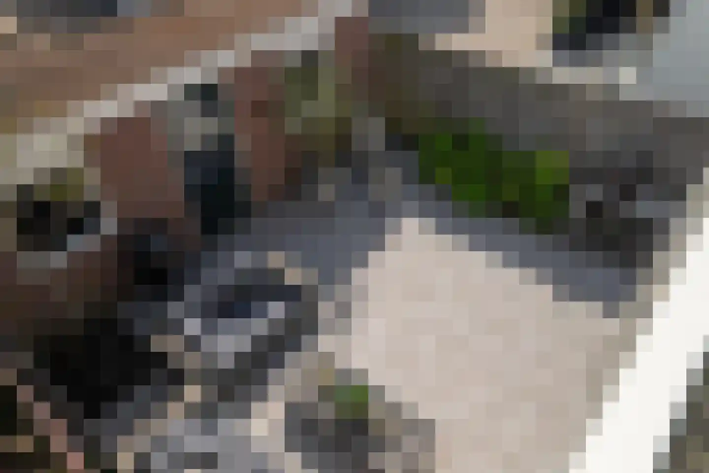 's-Gravenweg 72 Capelle aan den IJssel thumbnail 43