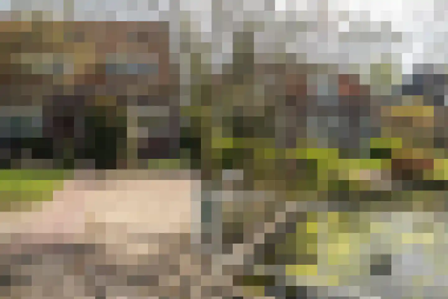 's-Gravenweg 72 Capelle aan den IJssel thumbnail 6