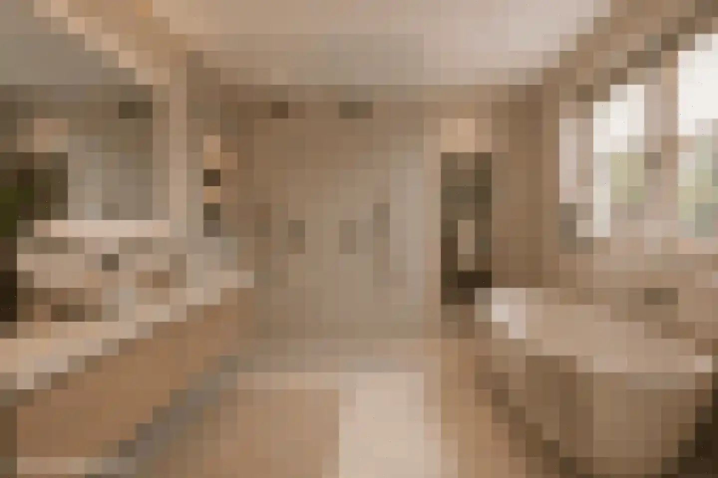 's-Gravenweg 724 J Rotterdam thumbnail 31