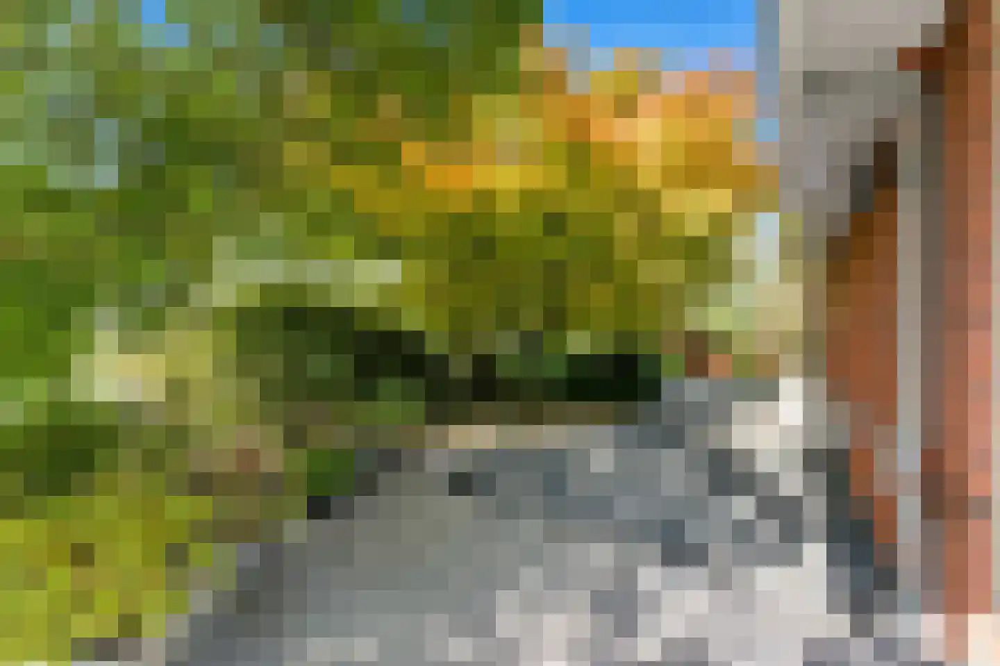 's-Gravenweg 724 J Rotterdam thumbnail 55