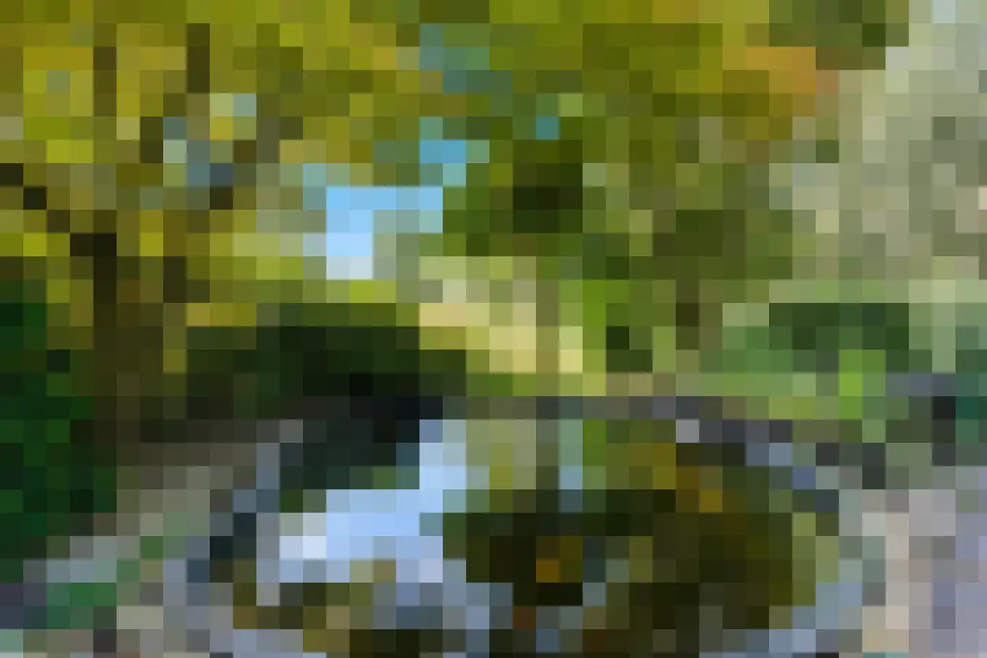 's-Gravenweg 724 J Rotterdam thumbnail 6