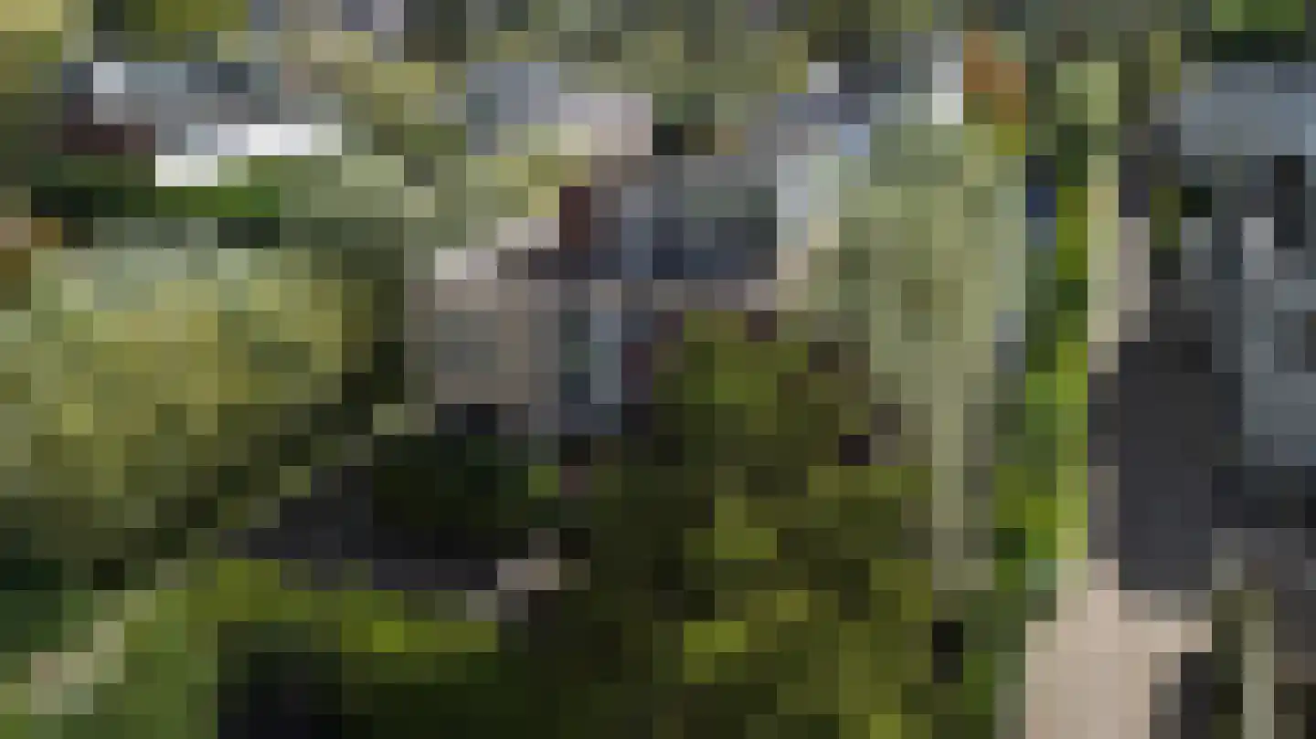 's-Gravenweg 738 Rotterdam thumbnail 4