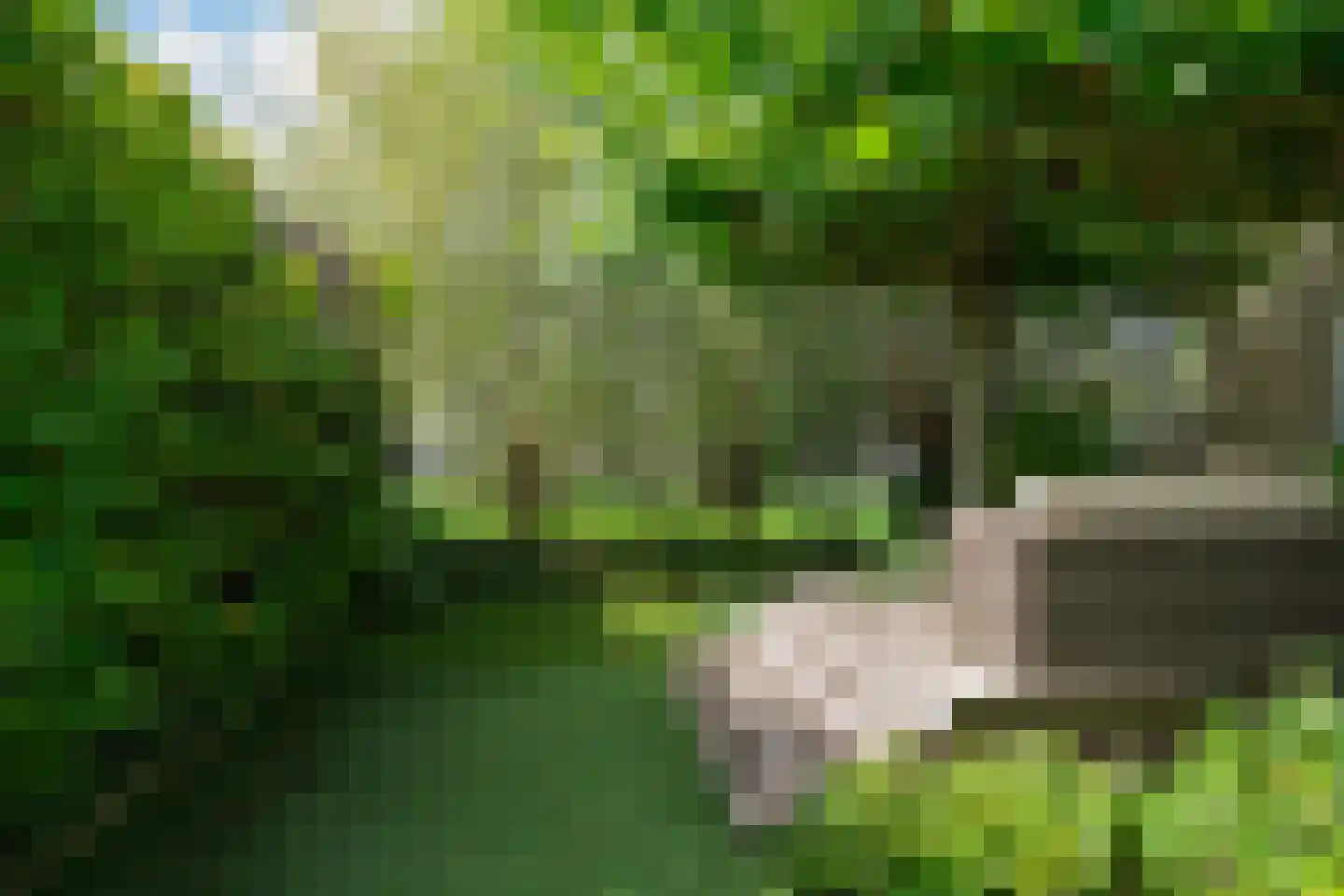 's-Gravenweg 738 Rotterdam thumbnail 55