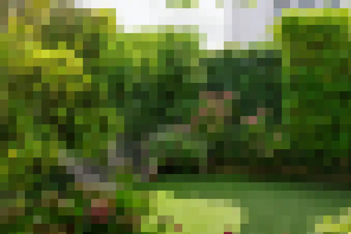 's-Gravenweg 738 Rotterdam thumbnail 56