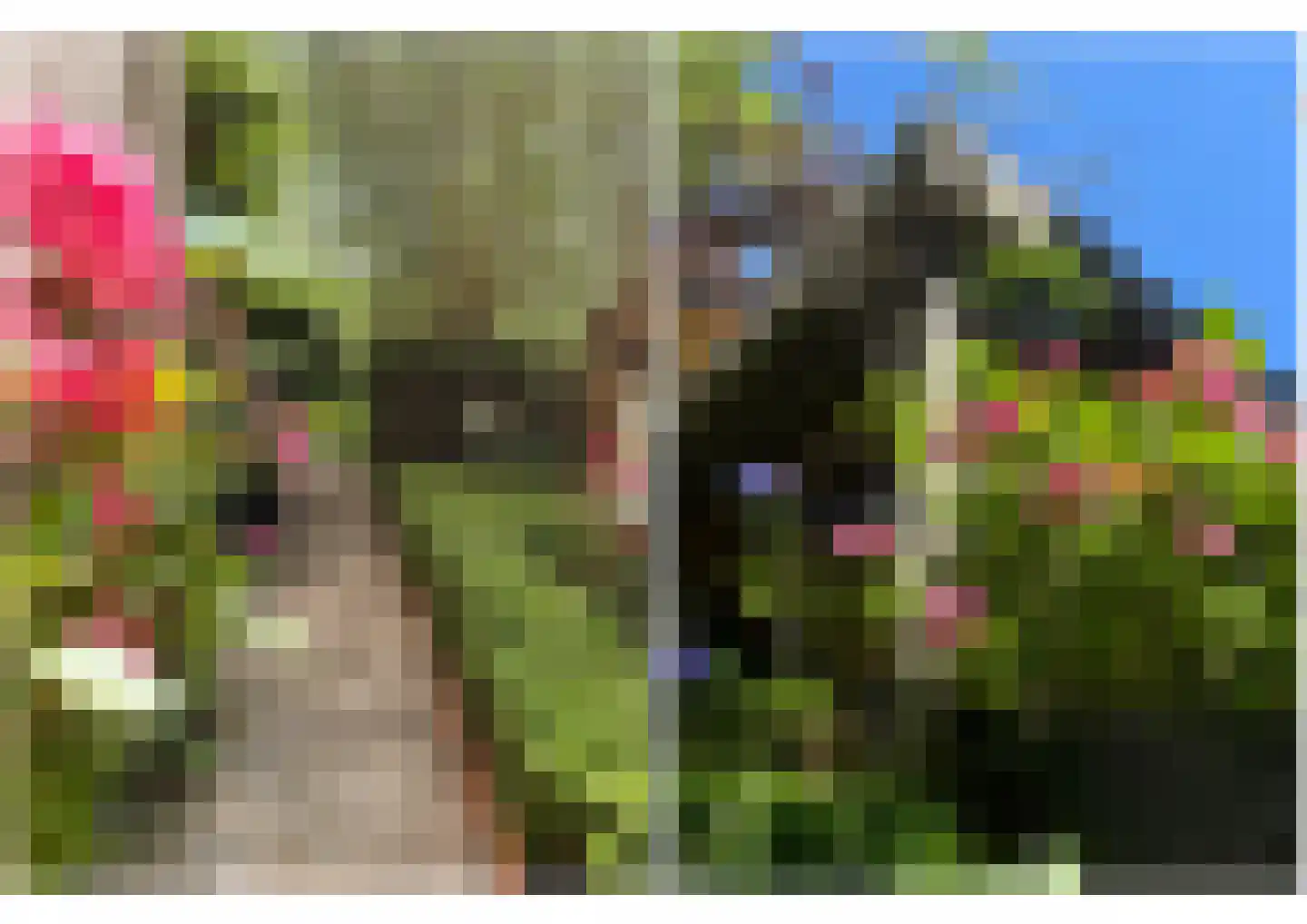 's-Gravenweg 738 Rotterdam thumbnail 57