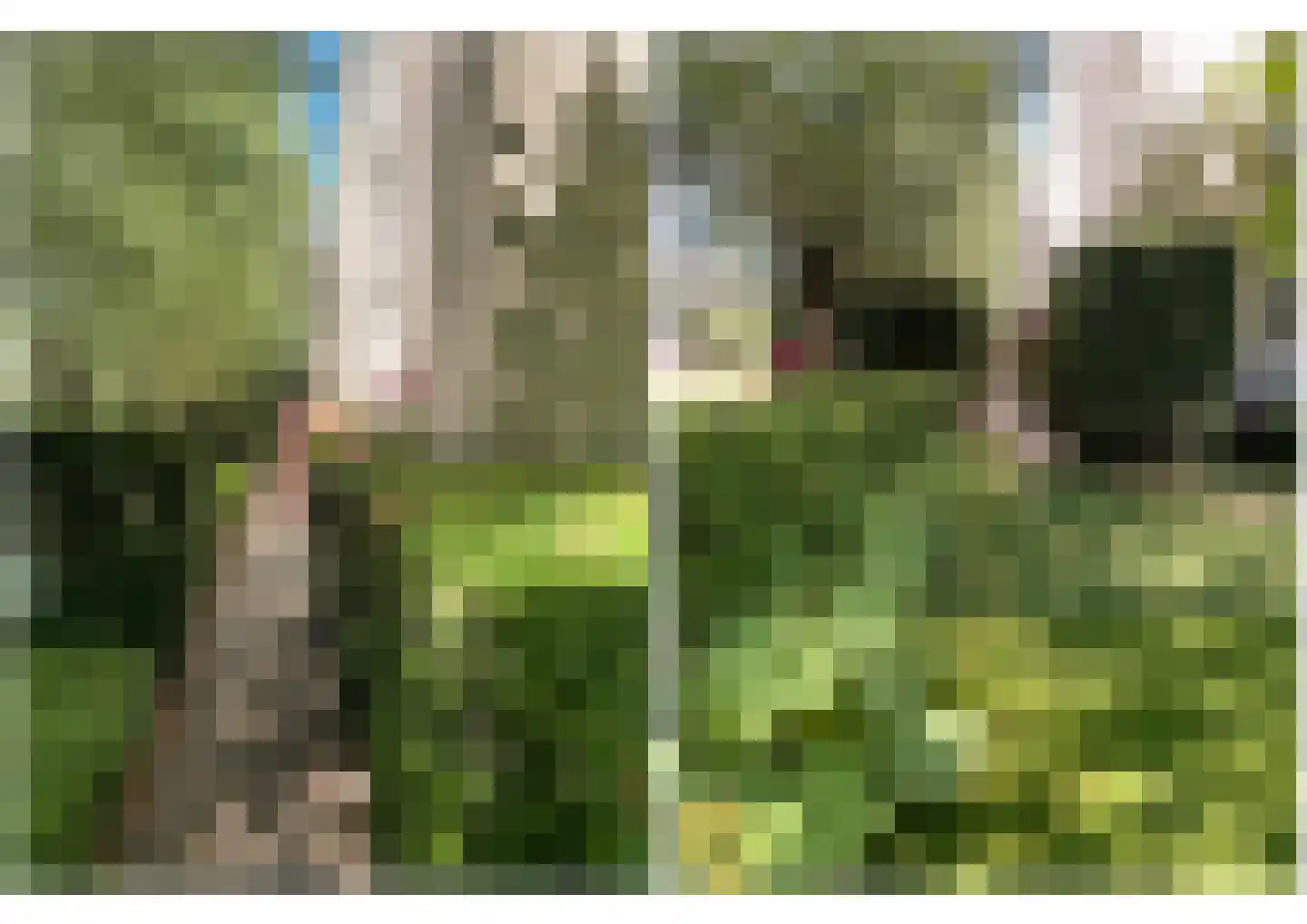 's-Gravenweg 738 Rotterdam thumbnail 58