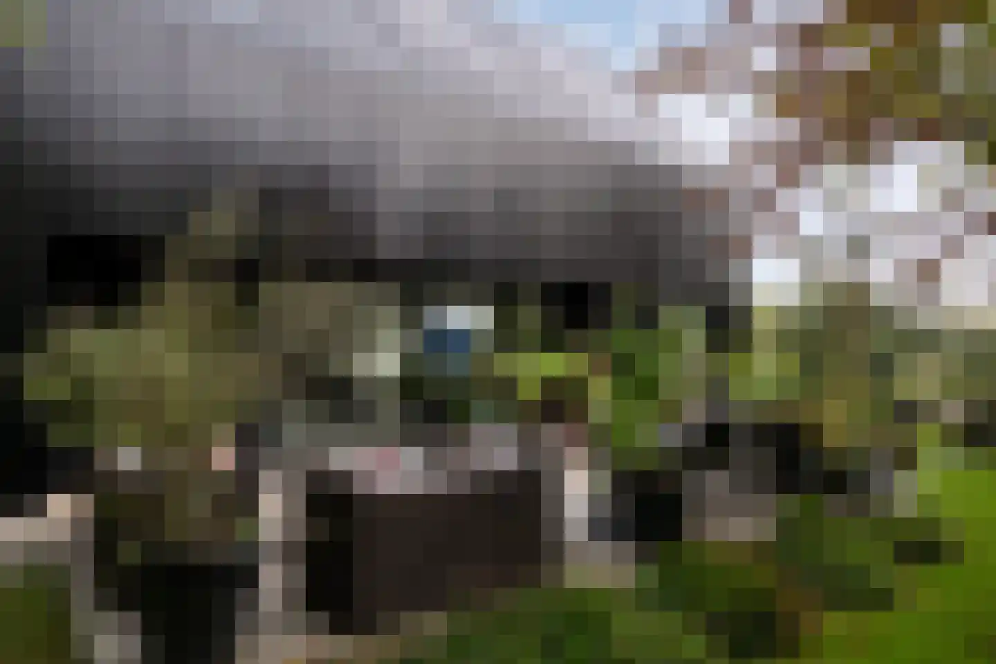 's-Gravenweg 74 Nieuwerkerk aan den IJssel thumbnail 10