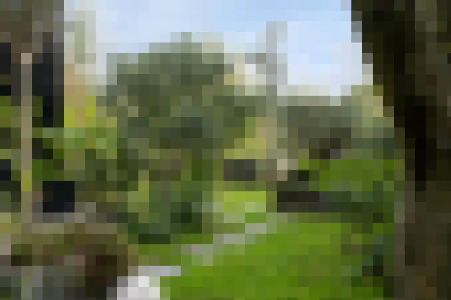's-Gravenweg 74 Nieuwerkerk aan den IJssel thumbnail 19