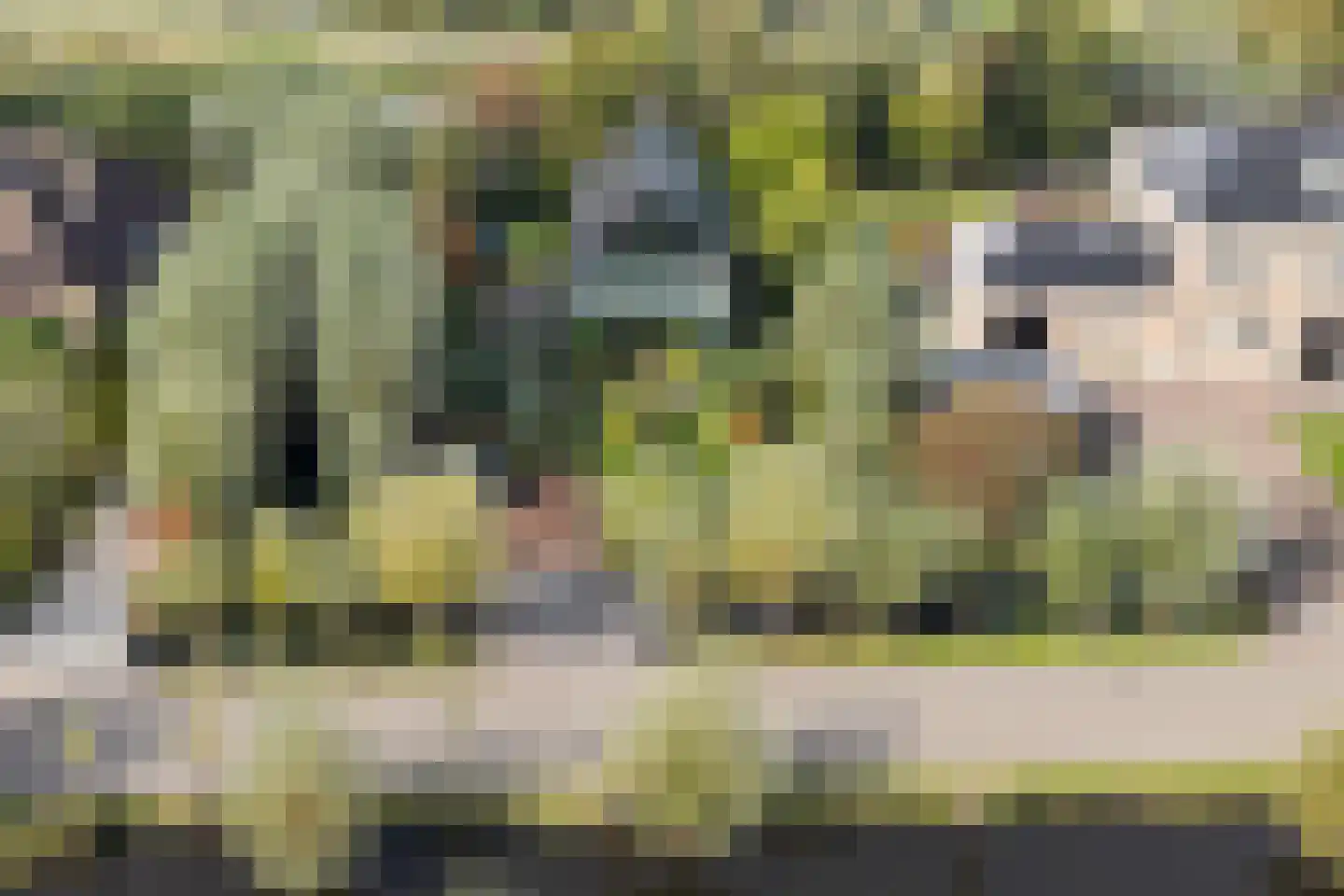 's-Gravenweg 74 Nieuwerkerk aan den IJssel thumbnail 22