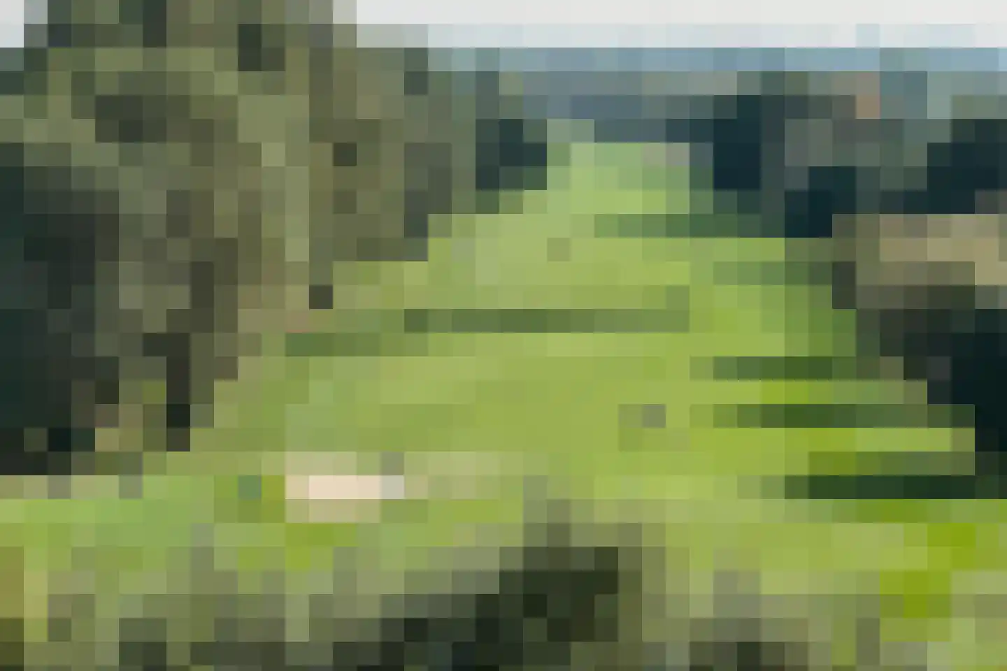 's-Gravenweg 74 Nieuwerkerk aan den IJssel thumbnail 23