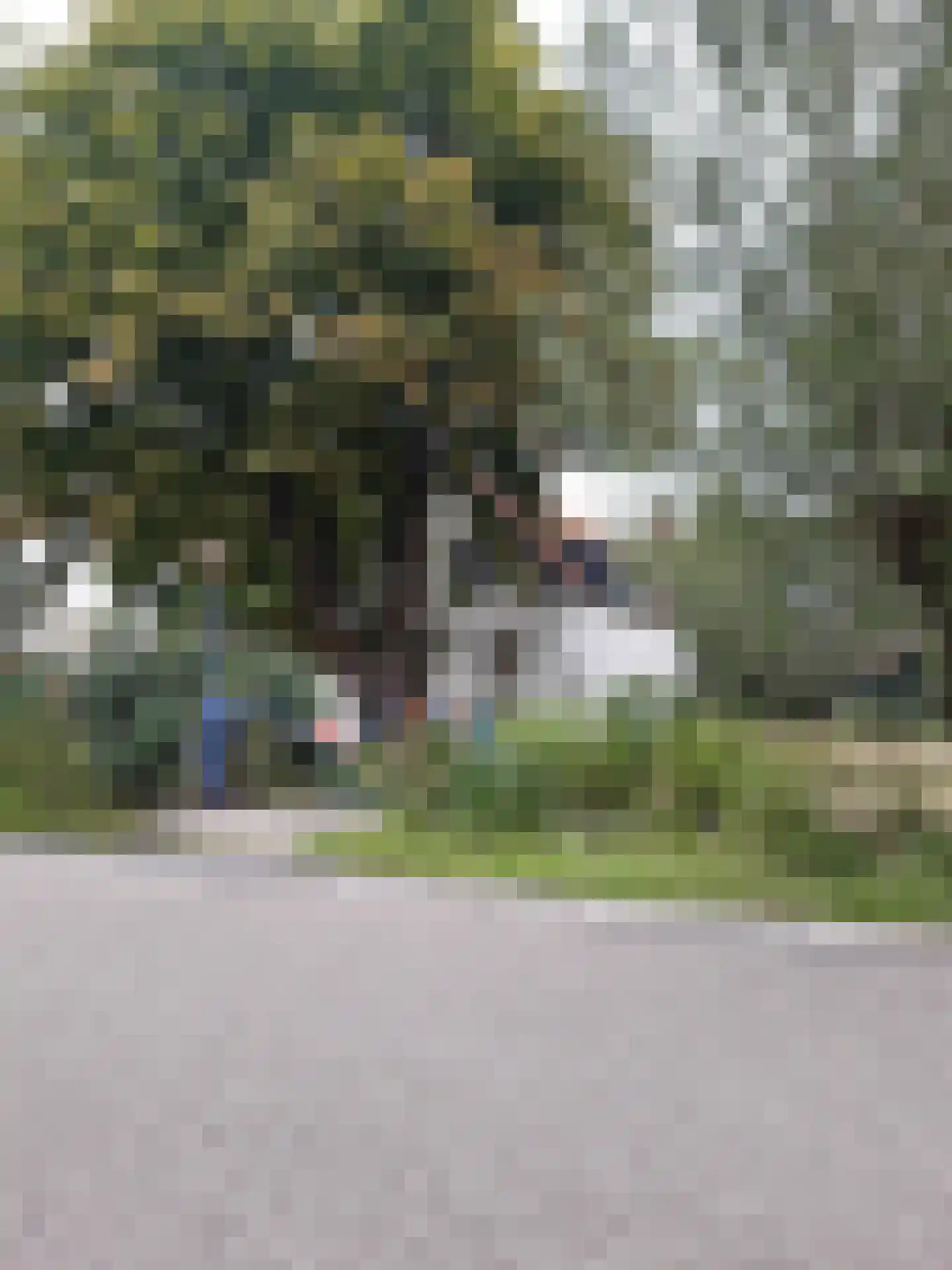 's-Gravenweg 760 Rotterdam thumbnail 4