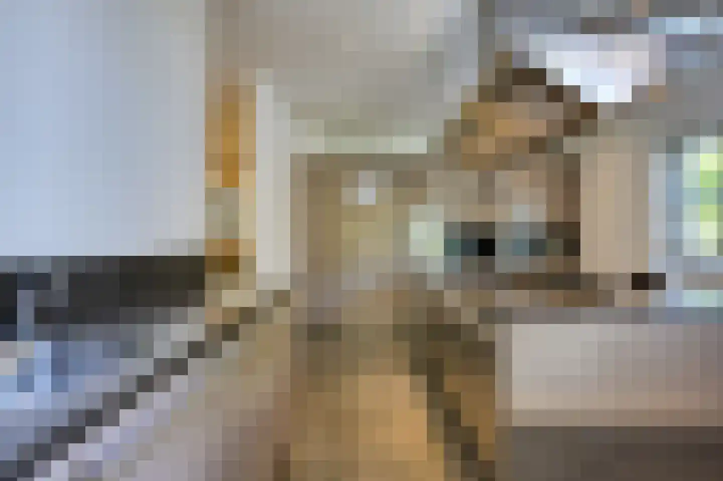 's-Gravenweg 767 Rotterdam thumbnail 12
