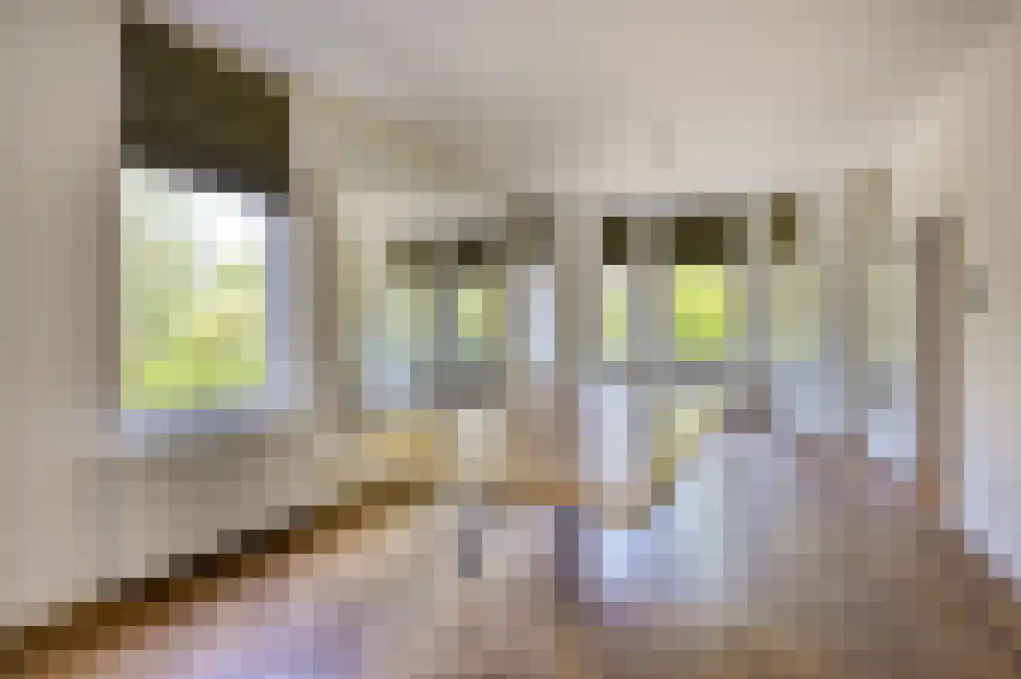 's-Gravenweg 767 Rotterdam thumbnail 13