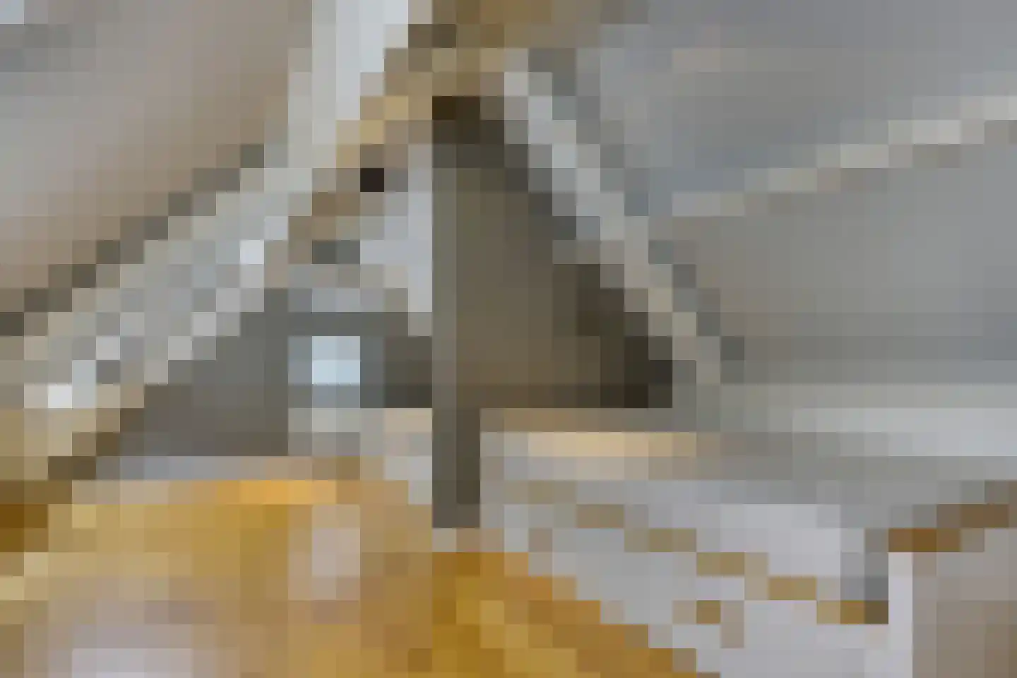 's-Gravenweg 767 Rotterdam thumbnail 34