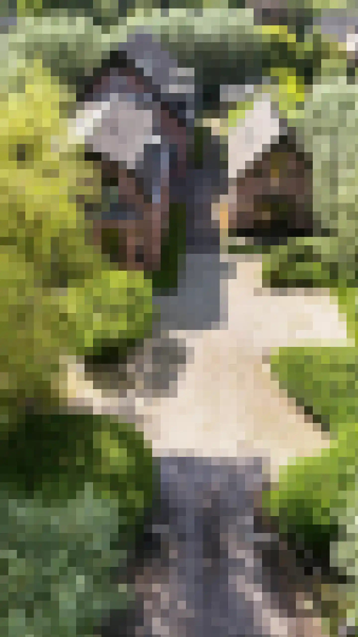 's-Gravenweg 767 Rotterdam thumbnail 37