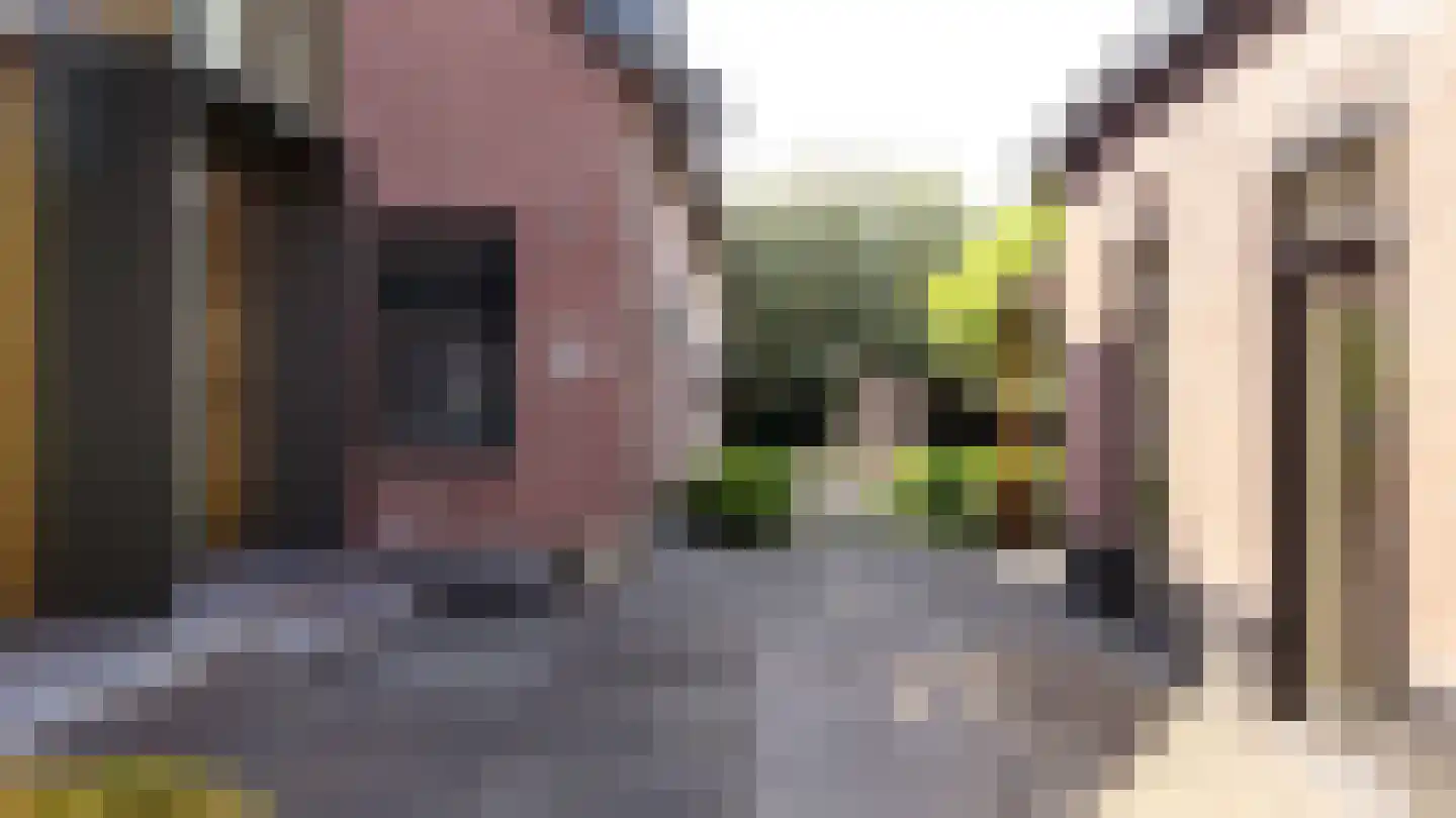 's-Gravenweg 767 Rotterdam thumbnail 42