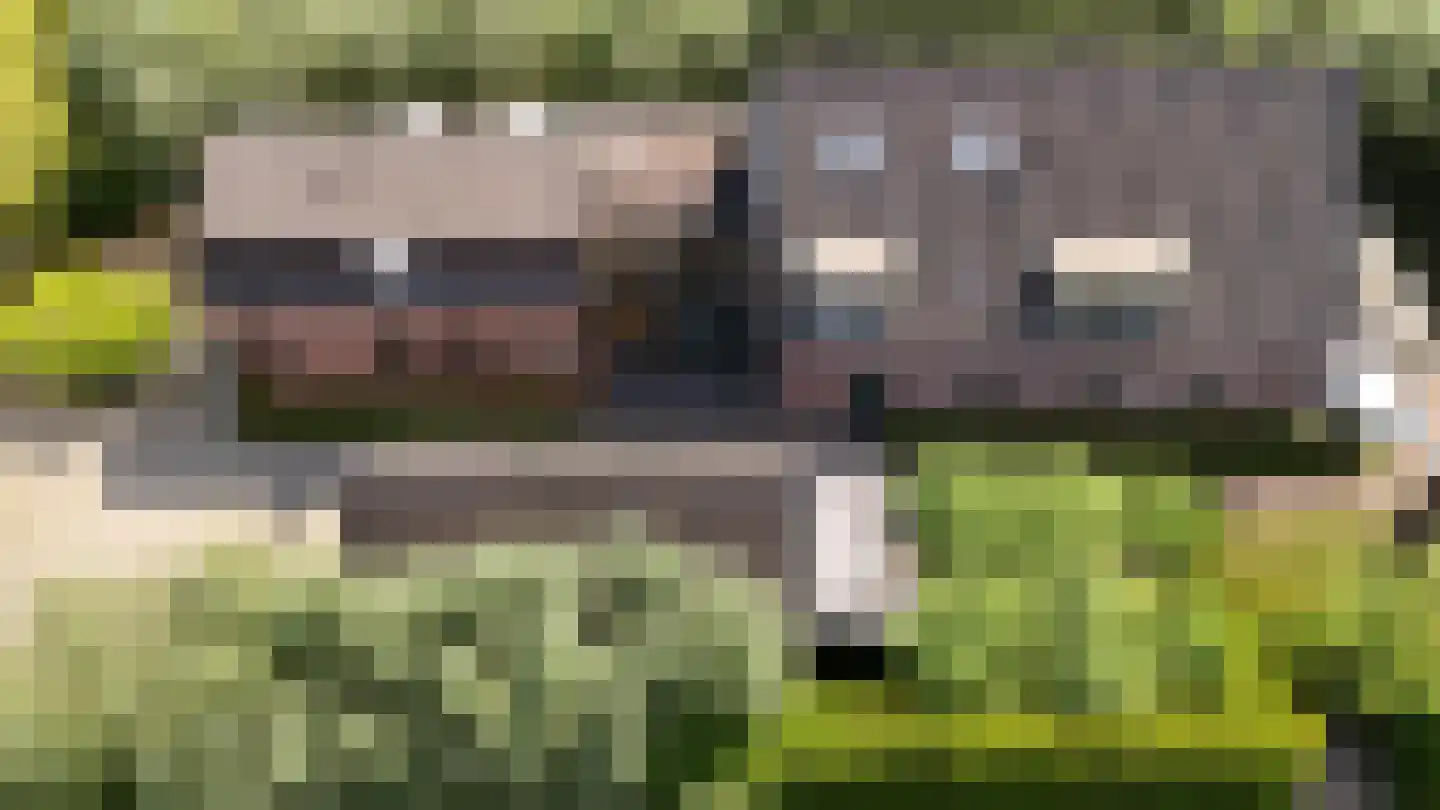 's-Gravenweg 767 Rotterdam thumbnail 44