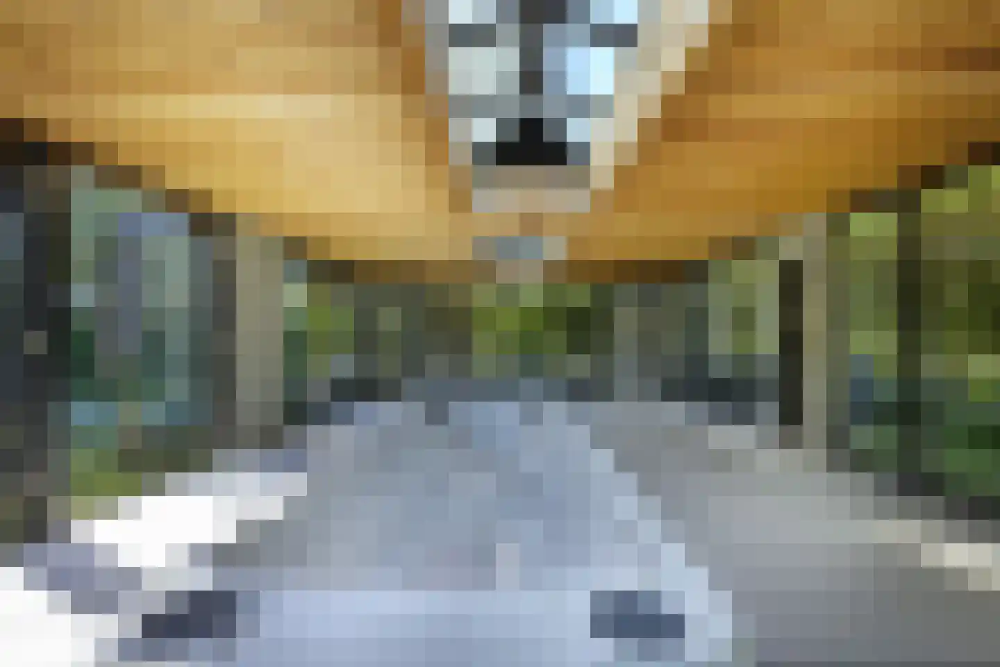 's-Gravenweg 767 Rotterdam thumbnail 48