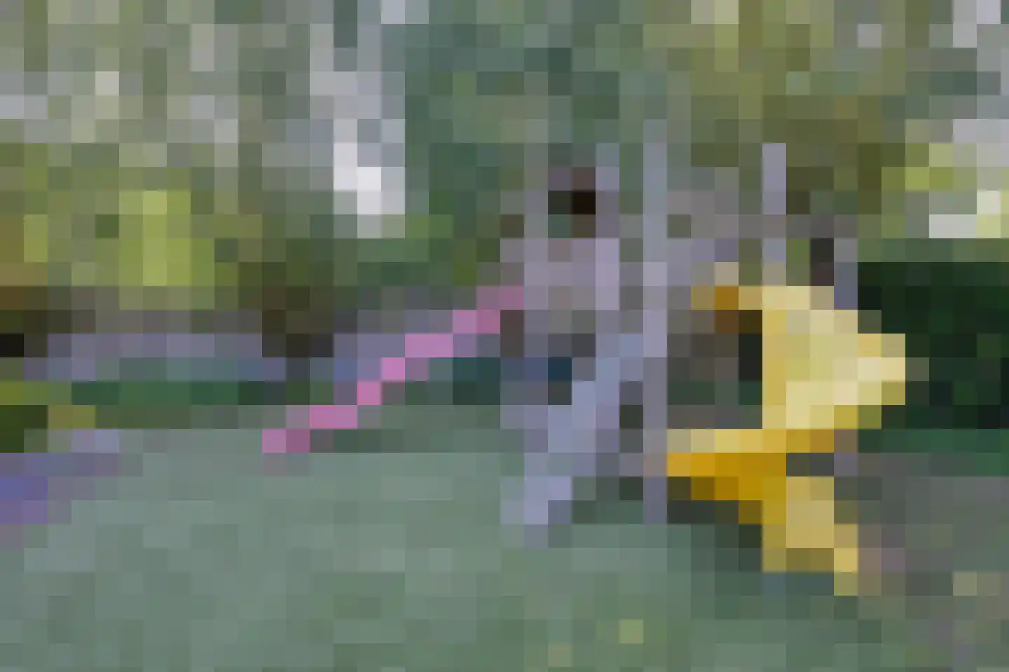 's-Gravenweg 767 Rotterdam thumbnail 54