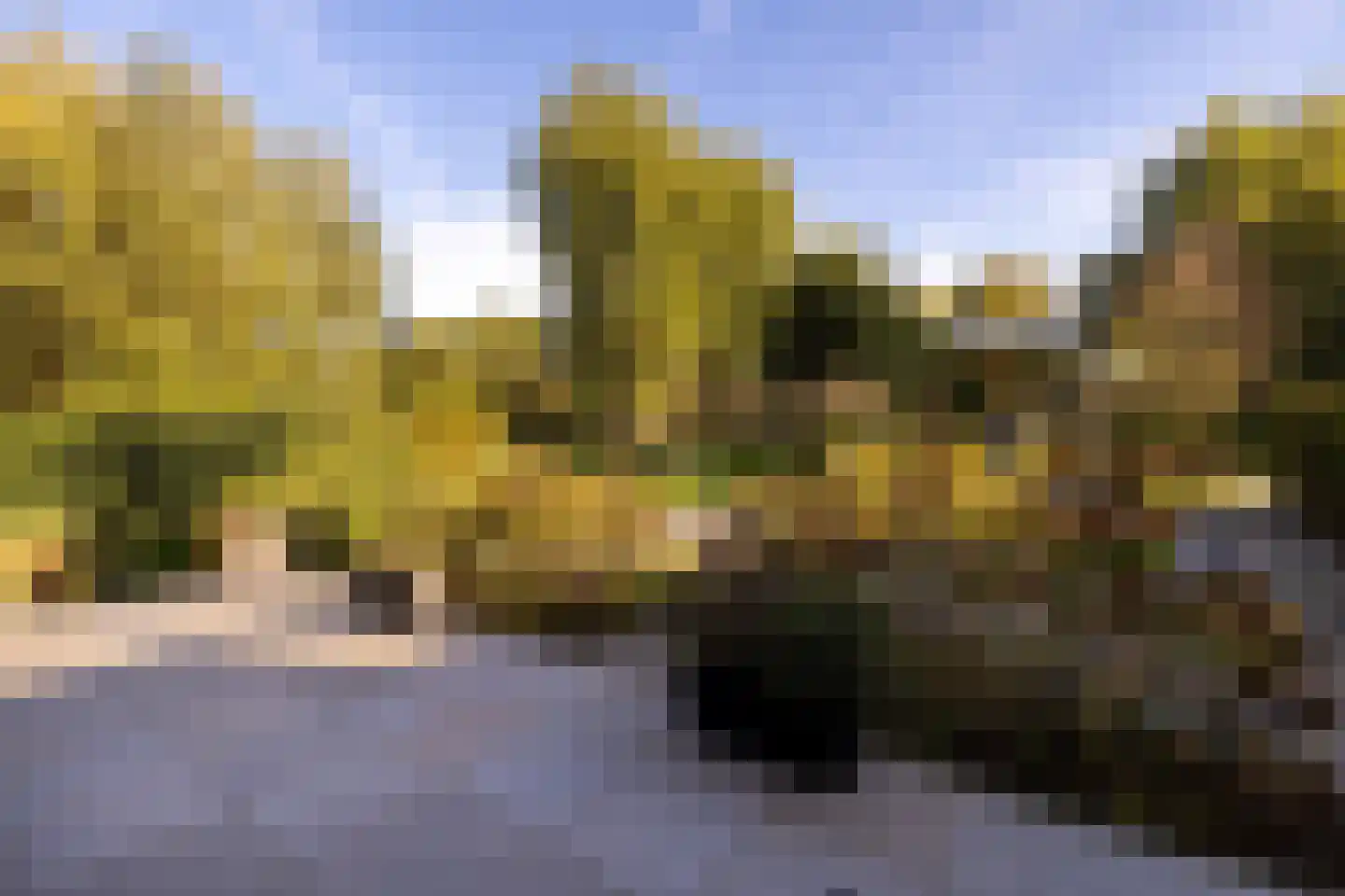 's-Gravenweg 80 Capelle aan den IJssel thumbnail 20