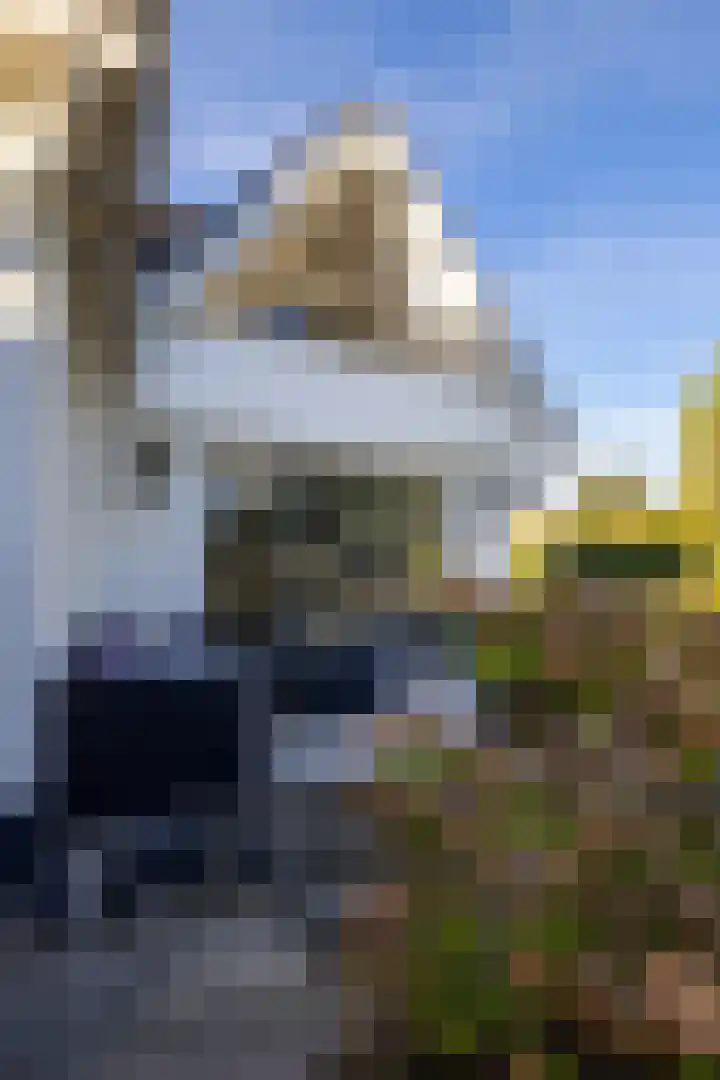 's-Gravenweg 80 Capelle aan den IJssel thumbnail 24