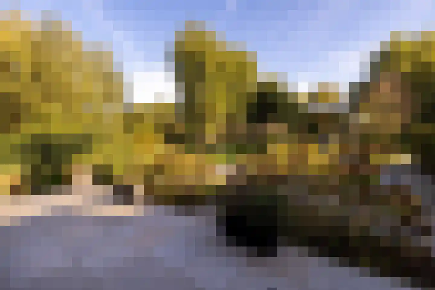 's-Gravenweg 80 Capelle aan den IJssel thumbnail 25