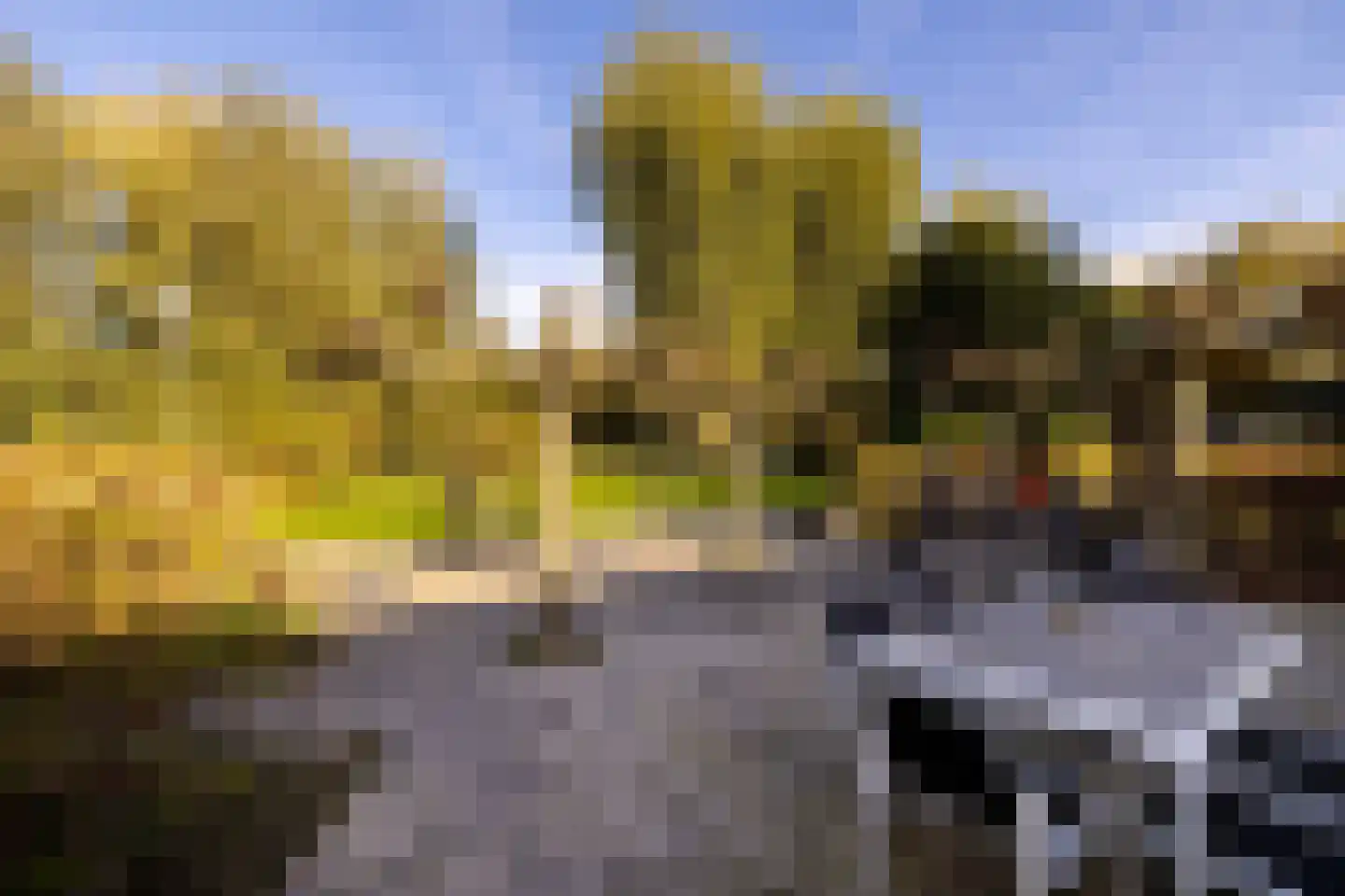 's-Gravenweg 80 Capelle aan den IJssel thumbnail 26