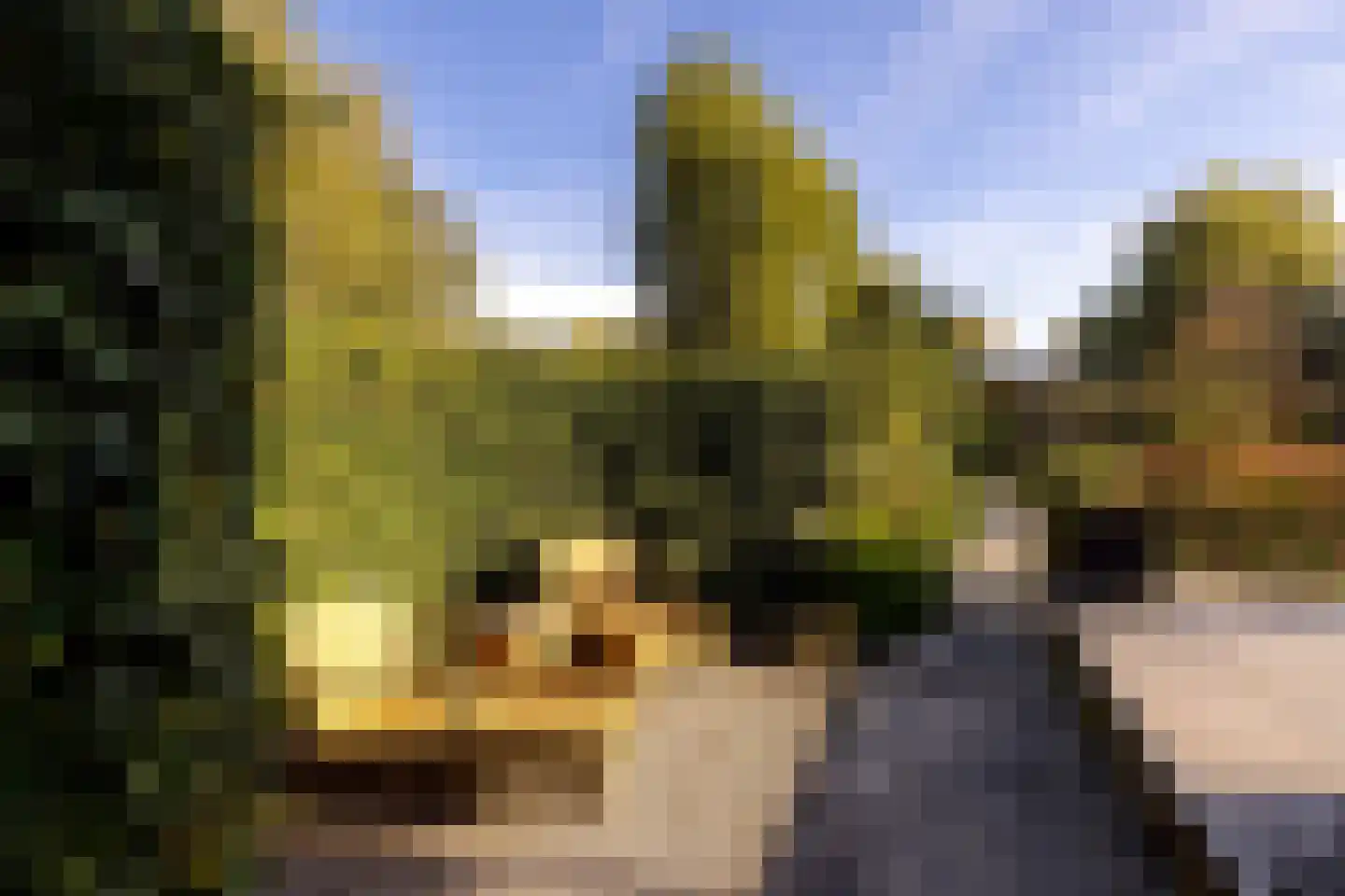 's-Gravenweg 80 Capelle aan den IJssel thumbnail 27