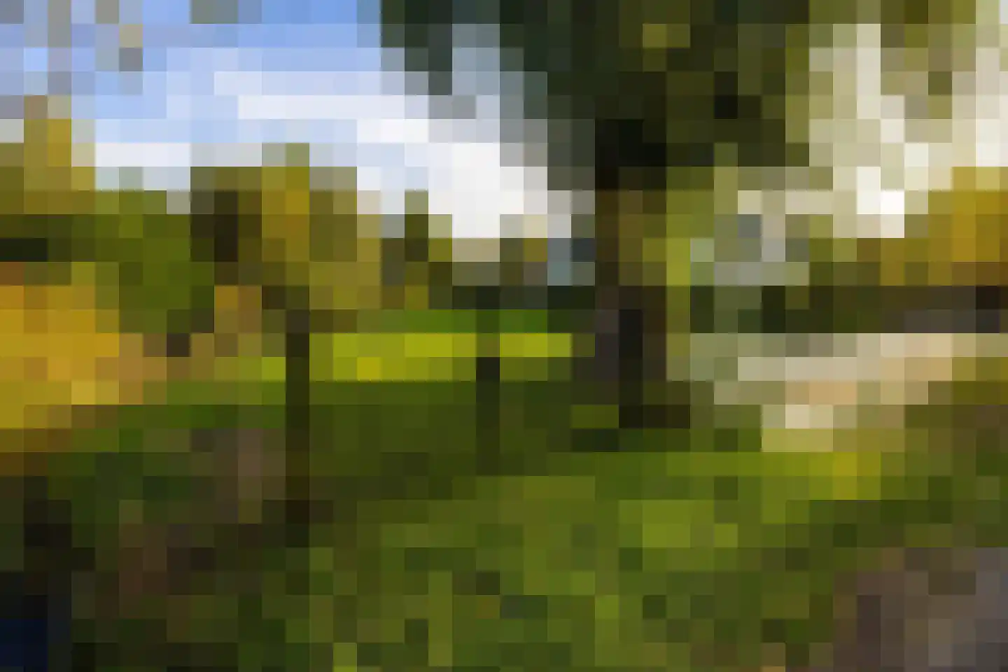 's-Gravenweg 80 Capelle aan den IJssel thumbnail 33