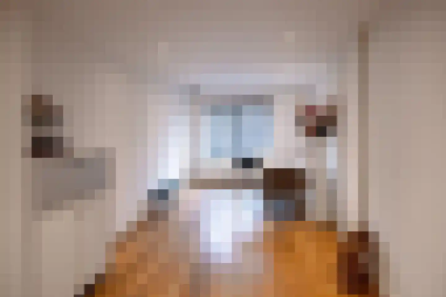 's-Gravenweg 80 Capelle aan den IJssel thumbnail 6