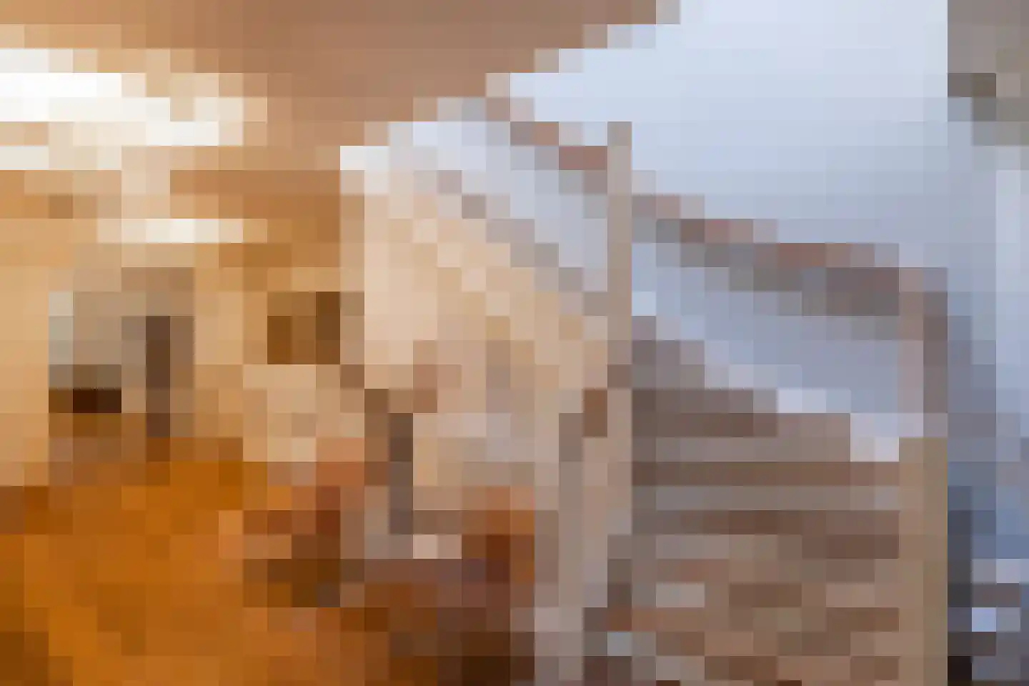 's-Gravenweg 80 Capelle aan den IJssel thumbnail 8