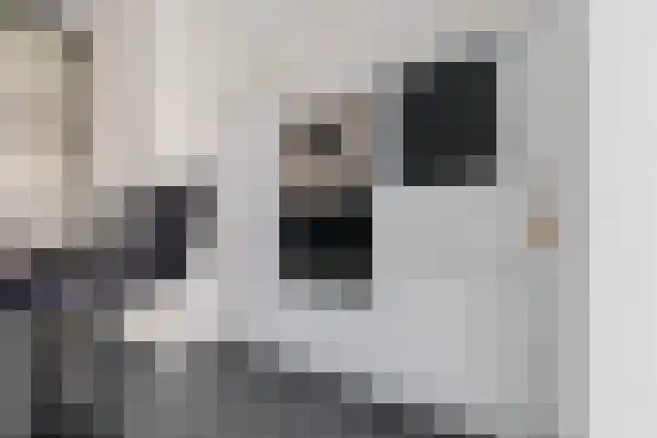 's-Gravenzandelaan 143 Den Haag thumbnail 11