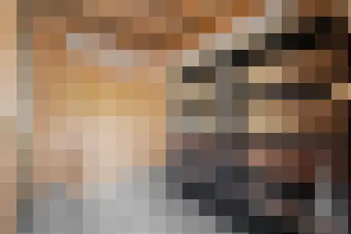 's-Gravenzandelaan 143 Den Haag thumbnail 33