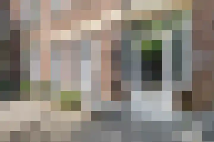 's-Gravenzandelaan 143 Den Haag thumbnail 39