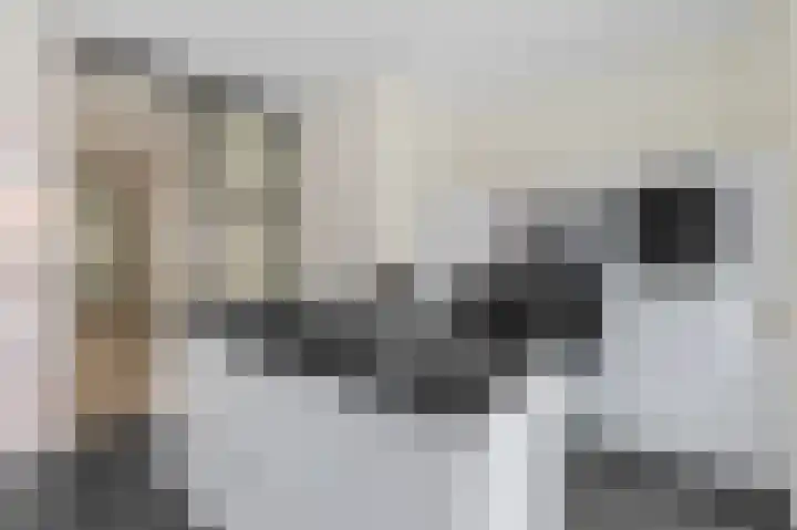 's-Gravenzandelaan 143 Den Haag thumbnail 9