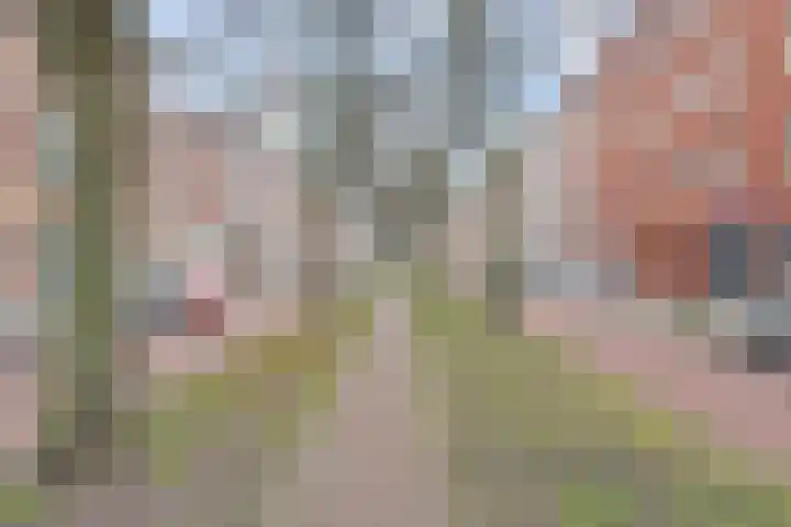 's-Gravenzandelaan 157 Den Haag thumbnail 14