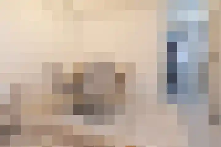 's-Gravenzandelaan 157 Den Haag thumbnail 7