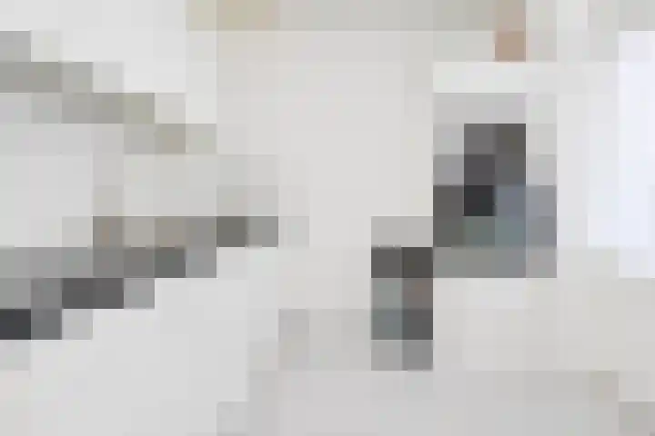 's-Gravenzandelaan 157 Den Haag thumbnail 8