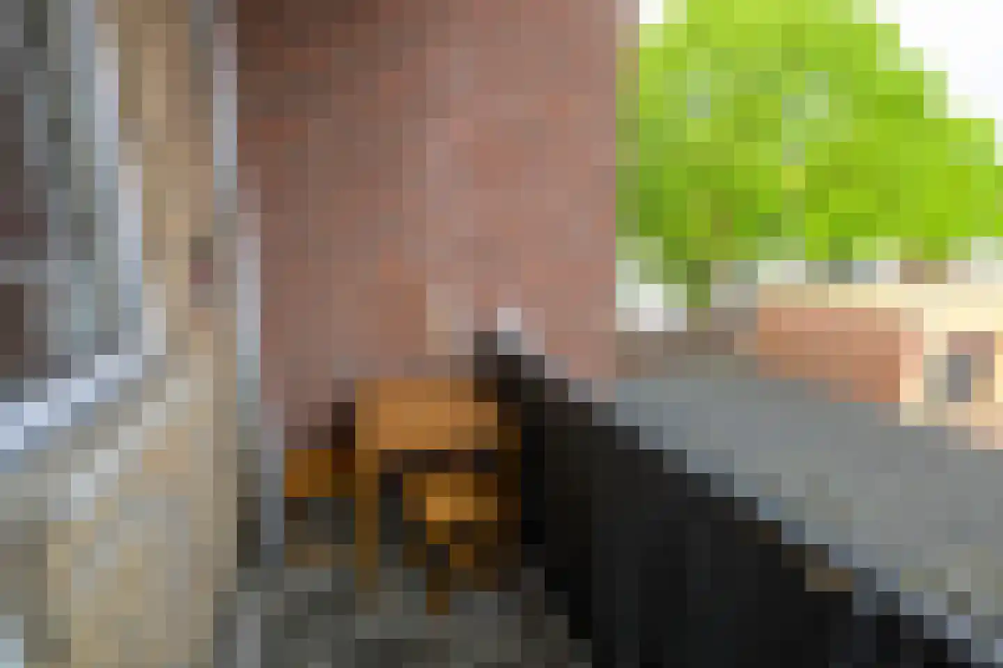 's-Gravenzandelaan 161 Den Haag thumbnail 14
