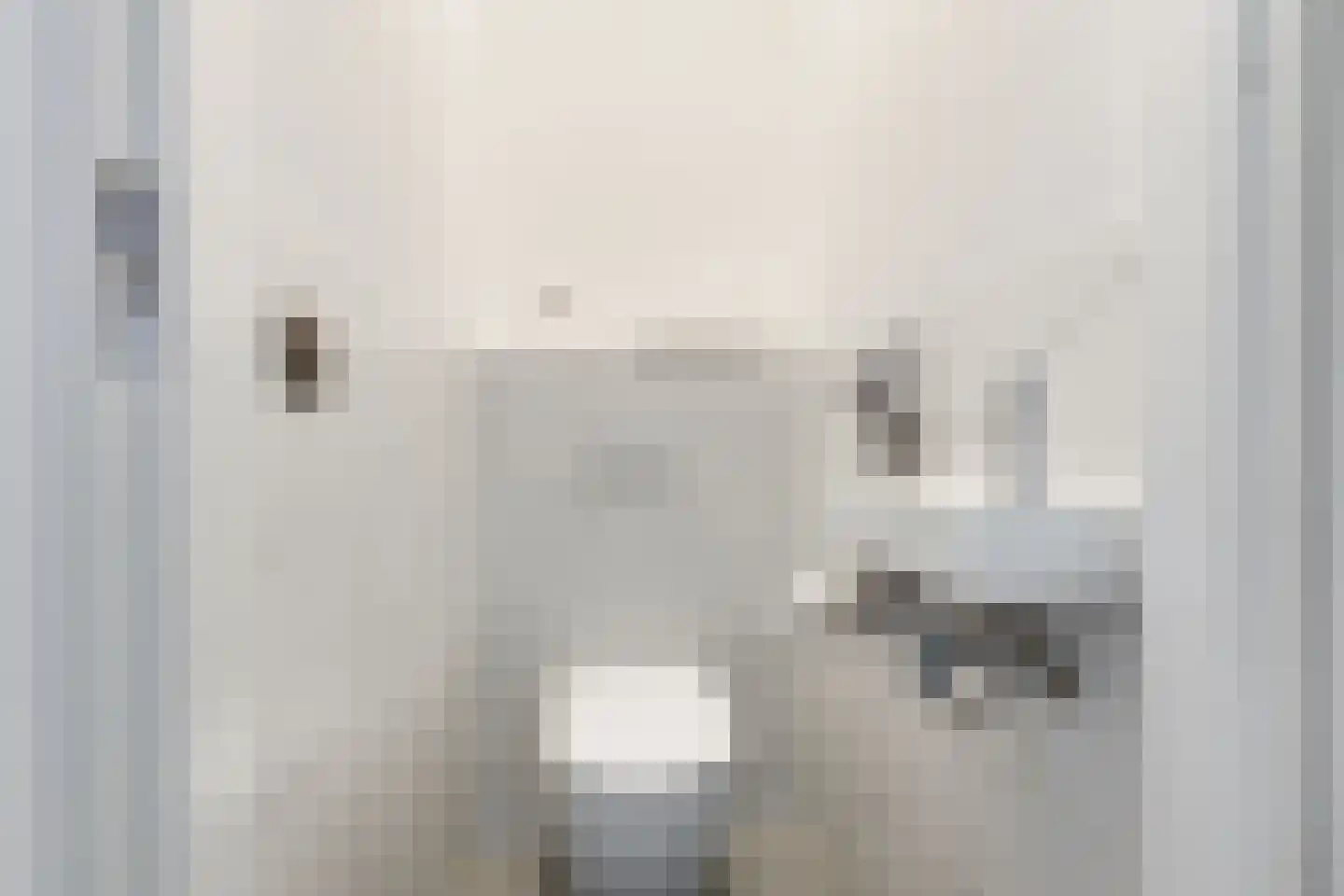 's-Gravenzandelaan 161 Den Haag thumbnail 15