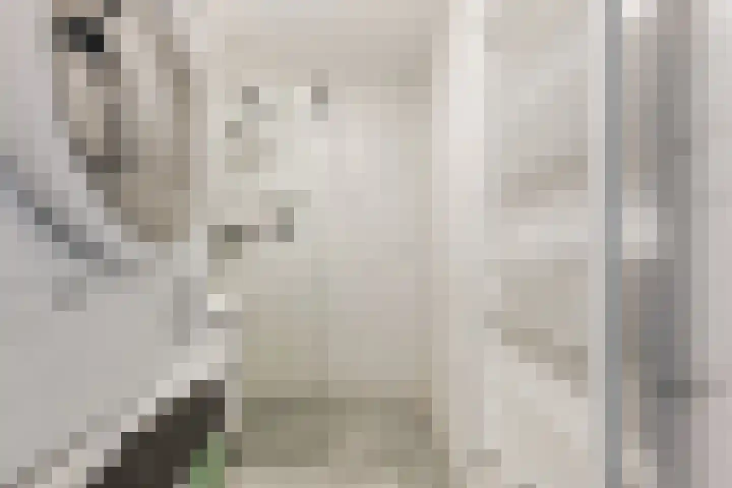 's-Gravenzandelaan 161 Den Haag thumbnail 17