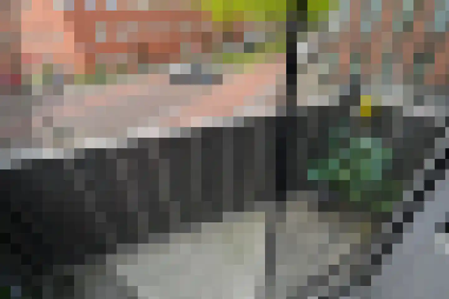 's-Gravenzandelaan 161 Den Haag thumbnail 4
