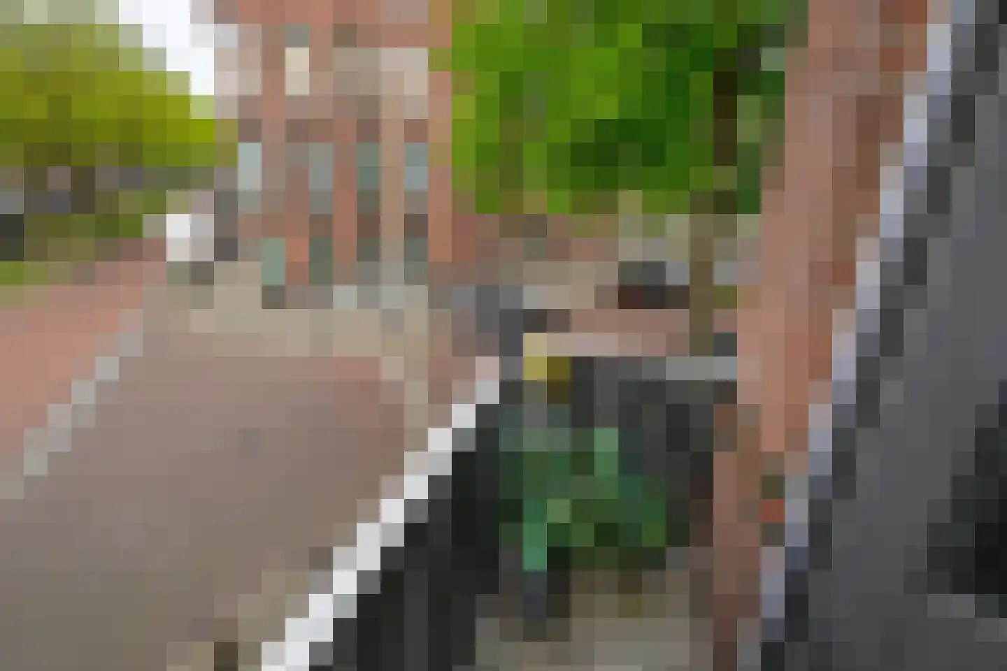 's-Gravenzandelaan 161 Den Haag thumbnail 5