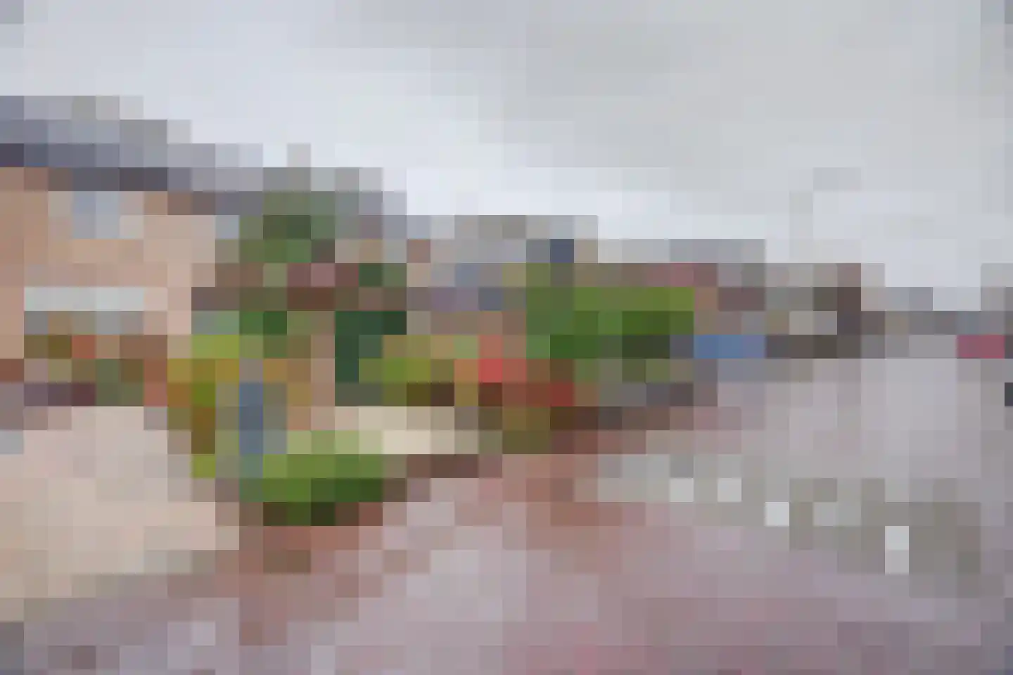 's-Gravenzandseweg 104 Naaldwijk thumbnail 10
