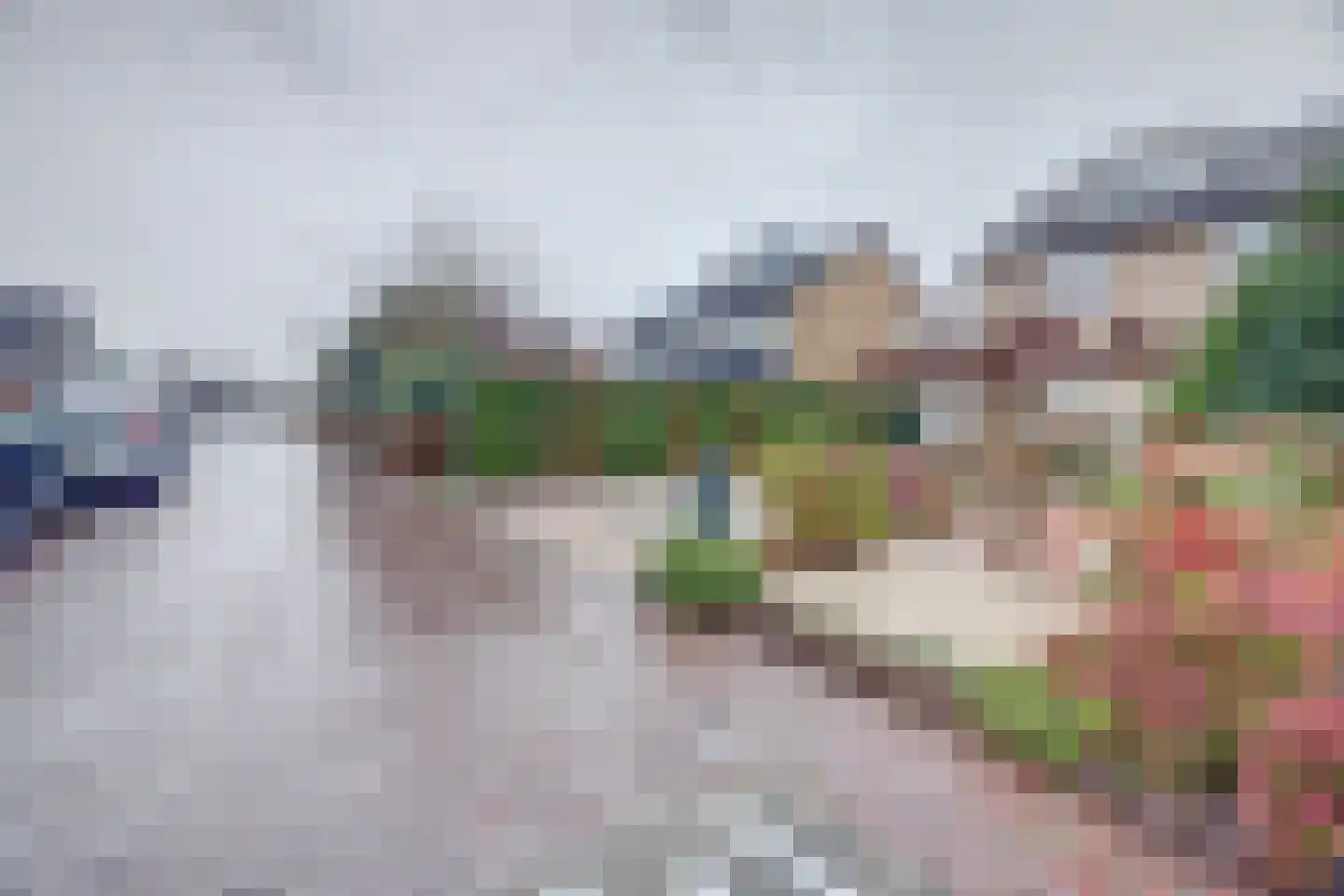 's-Gravenzandseweg 104 Naaldwijk thumbnail 11